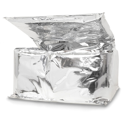 Alimenti surgelati Contenitori isolanti in argento